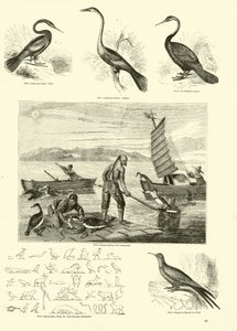 Page du Musée Pictural de la Nature Animée