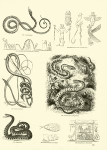 Page du Musée Pictural de la Nature Animée