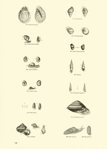 Page du Musée Pictural de la Nature Animée