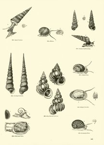 Page du Musée Pictural de la Nature Animée - English School