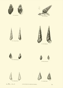 Page du Musée Pictural de la Nature Animée