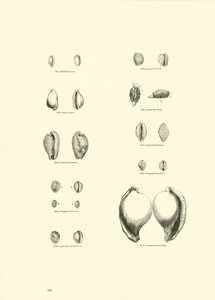 Page du Musée Pictural de la Nature Animée