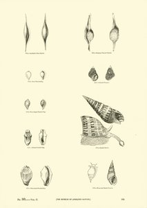 Page du Musée Pictural de la Nature Animée