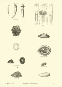 Page du Musée Pictural de la Nature Animée