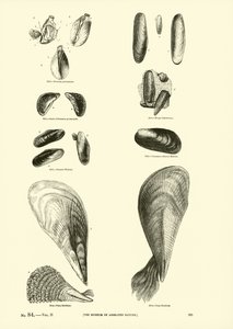Page du Musée Pictural de la Nature Animée - English School