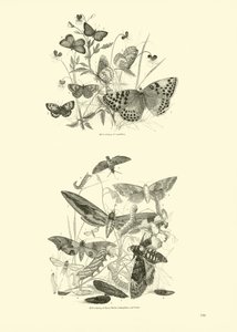 Page du Musée Pictural de la Nature Animée
