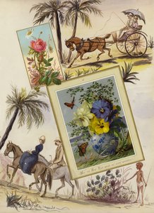 Page d