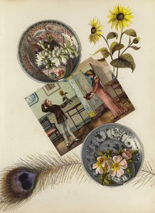 Page d