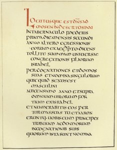 Page de la Bible latine Amiatine - English School