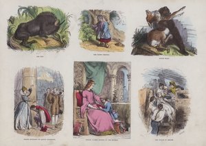 Page du Livre d