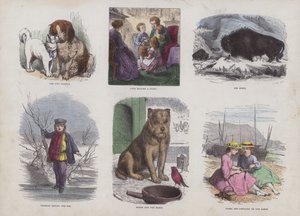 Page du Livre d