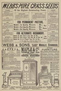 Page de Publicités - English School