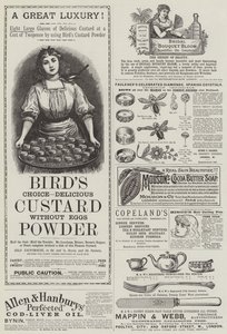 Page de publicités - English School
