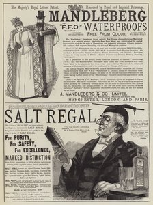 Page de publicités (gravure) - English School