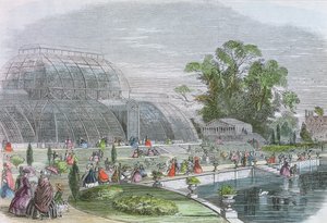 Palm House, Kew (gravure)