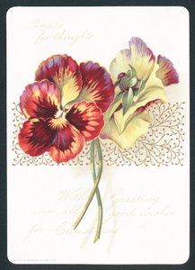 Pensées pour pensées, Carte de Noël - English School