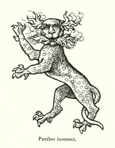 Panthère enflammée (gravure) - English School