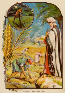 Paraboles, le blé et l
