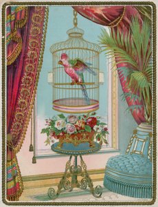 Perroquet en cage dans un intérieur victorien opulent