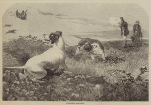 Chasse à la perdrix (gravure) - English School