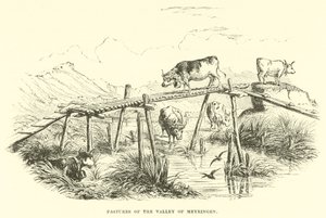 Pâturages de la vallée de Meyringen - English School
