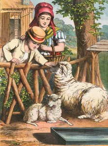 Caresser un mouton - English School