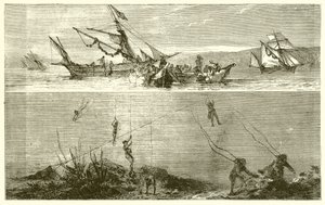 Pêche de perles - English School
