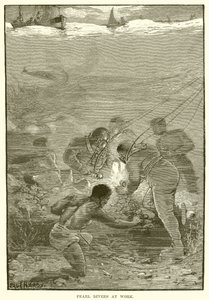 Plongeurs de perles au travail - English School