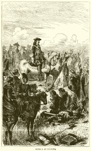 Pierre Ier à Pultowa - English School