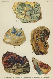 Phosphates, wavellite, lazulite, cuprouranite, vivianite, turquoise