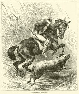 Chasse au sanglier dans la jungle