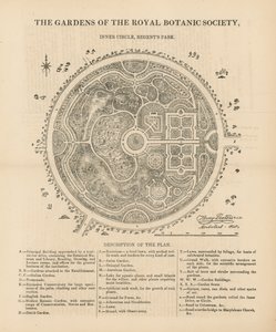 Vue en plan des jardins de la Société royale de botanique - English School