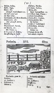 Agriculture tirée de 