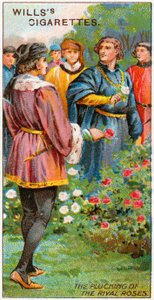 Cueillette des roses rivales - English School