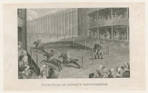 Course de poneys à l