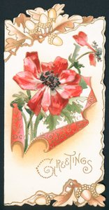 Coquelicot avec glands, carte - English School