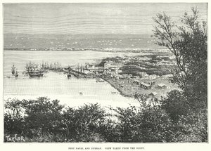 Port Natal et Durvan. Vue de la falaise (gravure) - English School