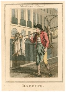 Portland Place. Lapins - English School