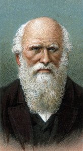 Portrait de Charles Robert Darwin (1809-1882) - De la série « Leaders of Men » - English School