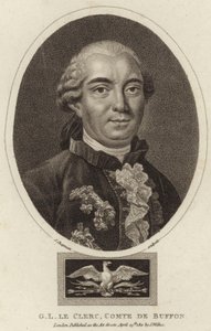 Portrait de Georges-Louis Leclerc, Comte de Buffon - English School