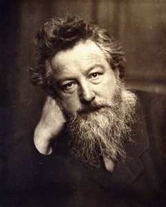 Portrait de William Morris, 1886