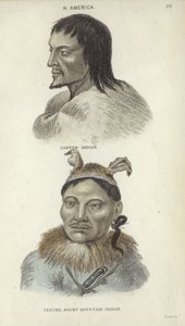 Portraits d