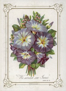 Bouquet de fleurs - English School