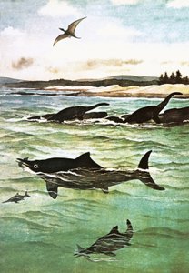 Créatures marines préhistoriques