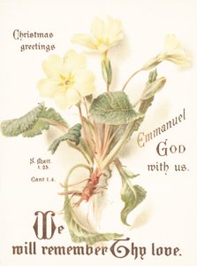 Primevères, Carte de Noël