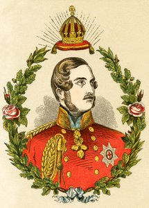 Prince Albert - English School