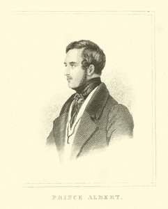 Prince Albert - English School