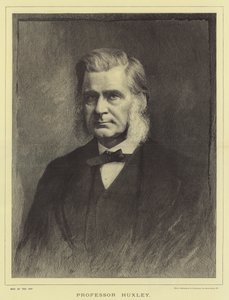 Professeur Huxley