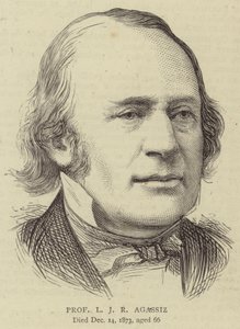 Professeur L J R Agassiz (gravure) - English School