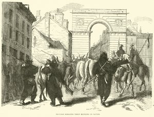 Troupe de fourrage prussienne ramenant du bétail, octobre 1870 - English School
